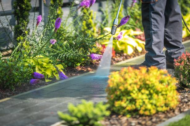 Best Pool Deck Cleaning  in Upper Brookville, NY